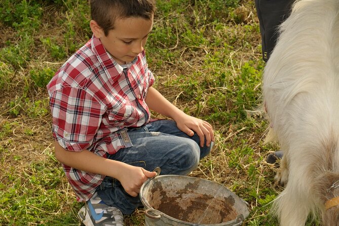 Alcamo Farm Animals and Aromatic Garden - Meeting the animals up close