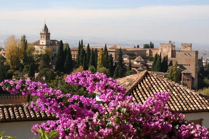 Alhambra &Charles Palace Guided Tour with Optional Nasrid Palaces - Alcazaba, forest, and the outside route