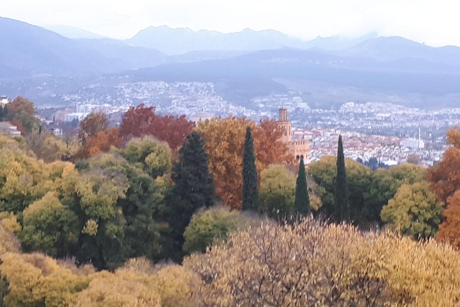 Alhambra Tour :Generalife Gardens ,Palaces and towers.Skiptheline - Generalife Gardens and Palace