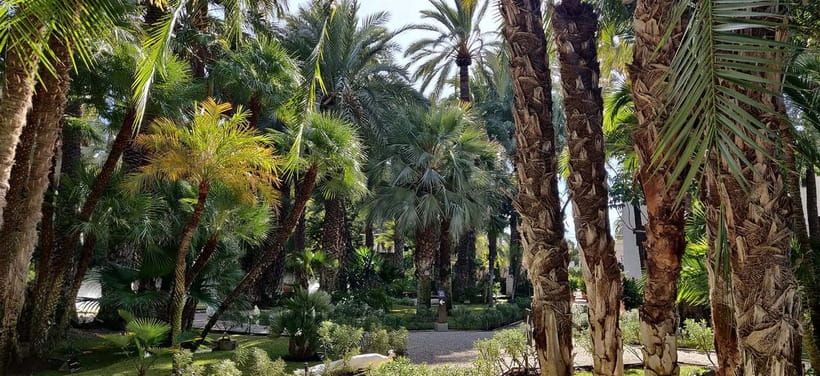 Alicante: UNESCO Heritage Palm grove + Artistic Garden Tour - Huerto del Cura and its unusual Imperial Palm