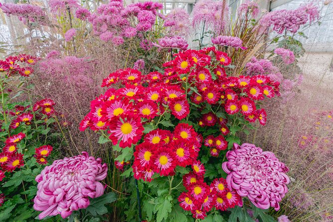 All-Garden Pass for the New York Botanical Garden - The Everett Children’s Adventure Garden