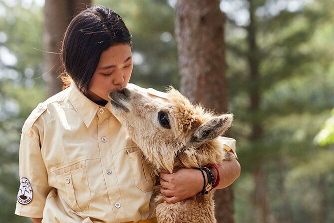 Alpaca World & Nami Island & Garden of Morning Calm One Day Tour - Why this three-stop day works outside Seoul