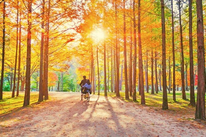 Alpaca World & Nami Island & Garden of Morning Calm One Day Tour - The long transfers are part of the bargain