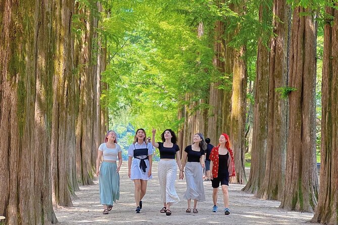Alpaca World & Nami Island & Garden of Morning Calm One Day Tour - Food, comfort, and the practical details