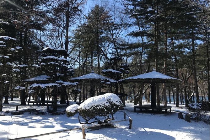 Alpaca World & Nami Island & Garden of Morning Calm One Day Tour - Who should book this day trip