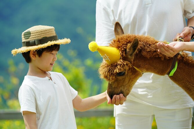 Alpaca World Tour with Nami Island (optional Railbike or Garden) - What this Seoul day trip is really designed to do
