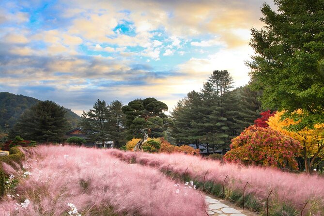 Alpaca World Tour with Nami Island (optional Railbike or Garden) - Gangchon Rail Park: countryside views with shared seating