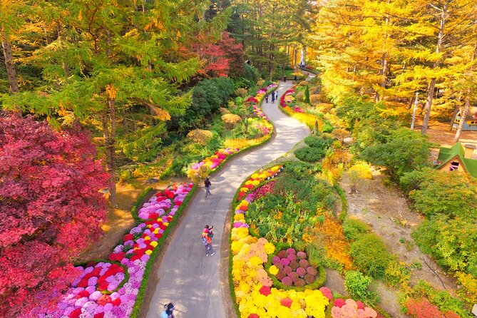 Alpaca World Tour with Nami Island (optional Railbike or Garden) - The Stay Healing Park and the Starlight Festival