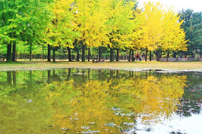Alpaca World Tour with Nami Island (optional Railbike or Garden) - Guides, transport, and the cost of a long day