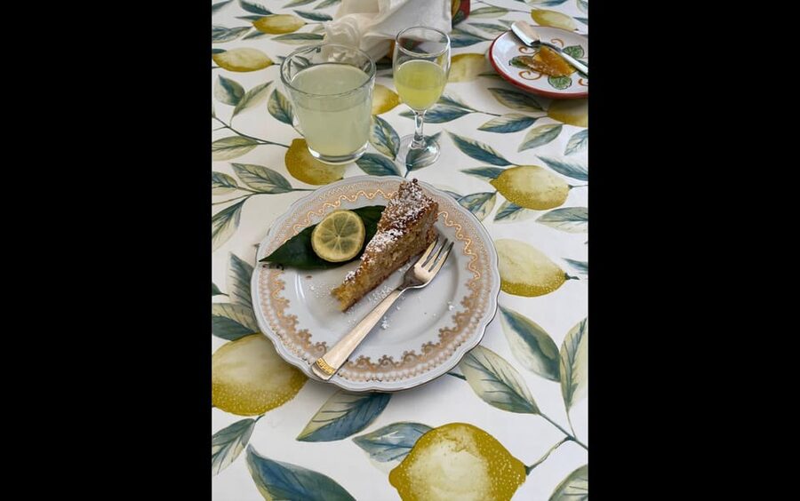 Amalfi Organic Lemon Tour & Tasting in the Historical Garden - The tasting beside the Amalfi view