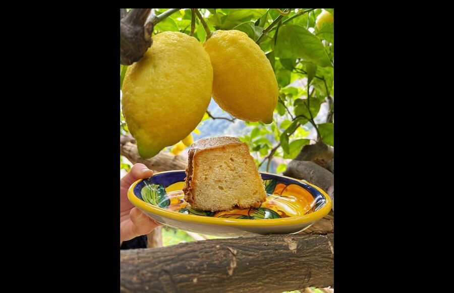 Amalfi Organic Lemon Tour & Tasting in the Historical Garden - The views and the quiet break
