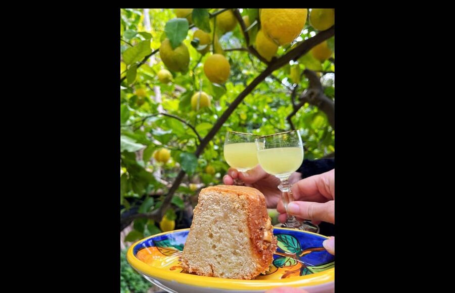 Amalfi Organic Lemon Tour & Tasting in the Historical Garden - Who will enjoy this tour most?