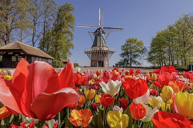 Amsterdam Airport (AMS) Transfer to Amsterdam/Rotterdam/Keukenhof - Is $35.47 a good value?