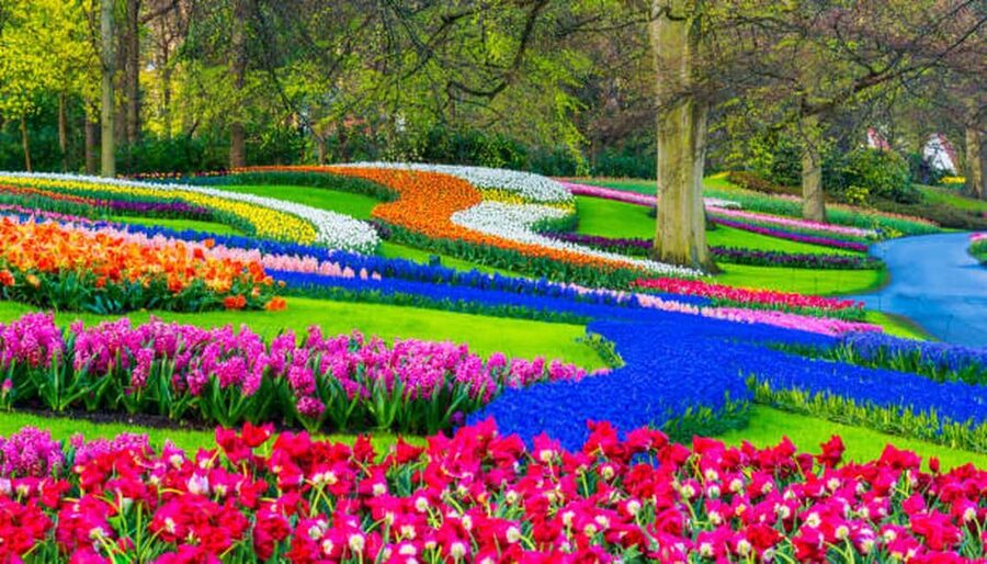 Amsterdam: Cheese, Clogs, Flowers and Windmills Tour - Key points at a glance
