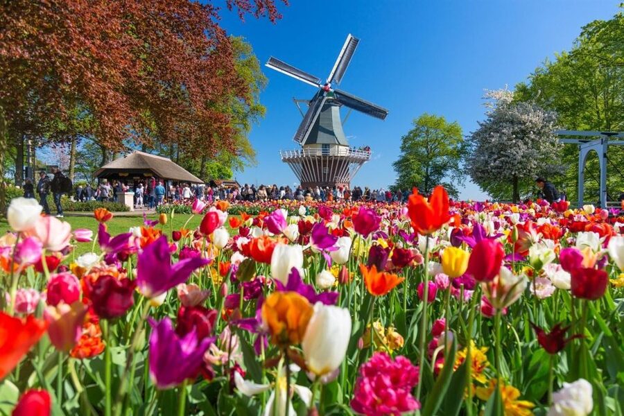 Amsterdam: Day Tour Keukenhof and Zaanse Schans Windmills - Is 2.5 hours enough at Zaanse Schans?