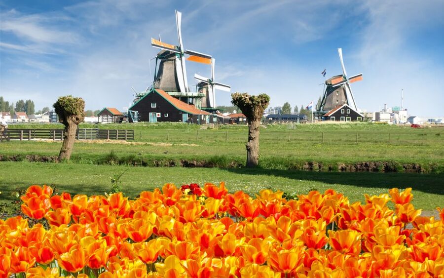 Amsterdam: Day Tour Keukenhof and Zaanse Schans Windmills - The coach ride to Keukenhof
