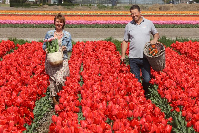 Amsterdam: Day trip to Tulip Farm, Keukenhof + Windmill Cruise - What this nine-hour tulip day actually delivers