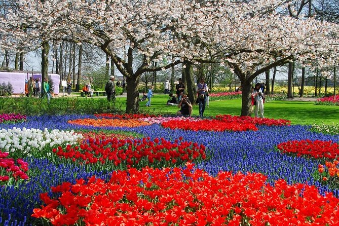 Amsterdam: Day trip to Tulip Farm, Keukenhof + Windmill Cruise - Flexible return times are a real advantage