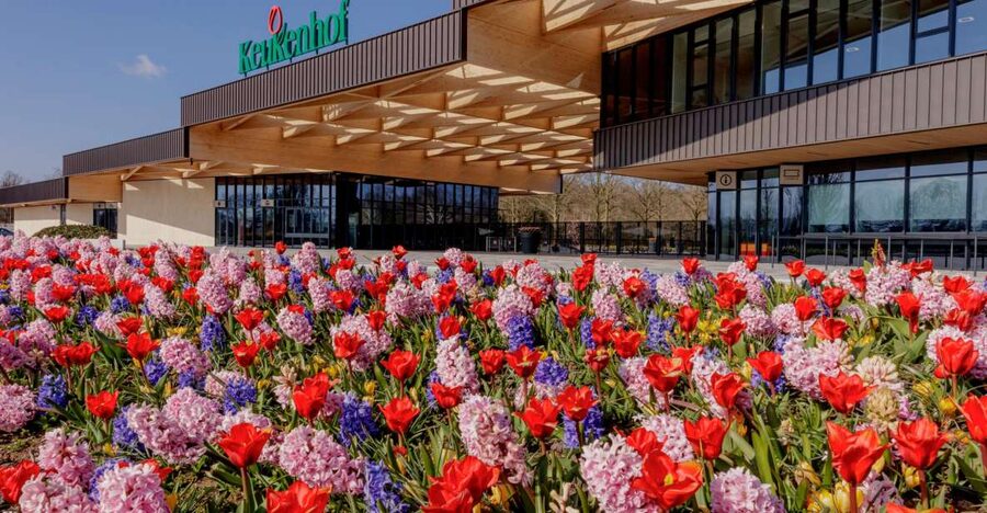 Amsterdam: Half-Day Flower Fields and Keukenhof Bicycle Tour - Key points at a glance