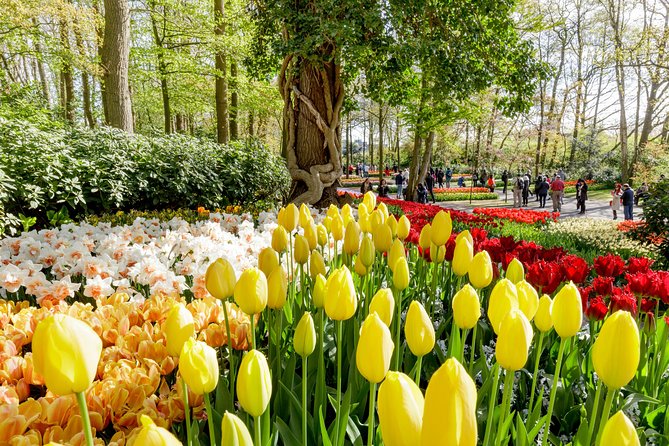 Amsterdam: Half Day Guided Keukenhof Tulip Garden Tour - Why Keukenhof is worth the ride from Amsterdam