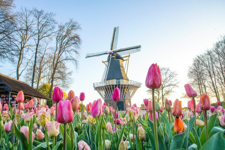 Amsterdam: Keukenhof and Zaanse Schans Live Guided Day Tour - Keukenhof: 45 minutes guided, then time to wander