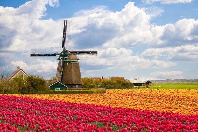 Amsterdam: Keukenhof and Zaanse Schans Windmills Guided Day Trip - The ride through the Lisse bulb region