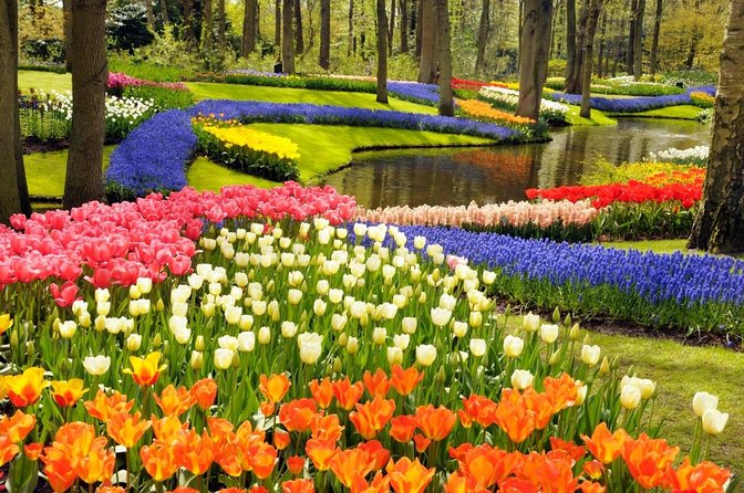 Amsterdam: Keukenhof Entry & Shuttle Bus with Flexible Return - Key points to know before booking