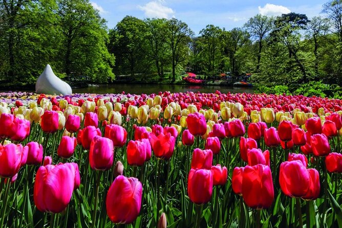Amsterdam: Keukenhof Entry & Shuttle Bus with Flexible Return - Crowds, queues, and the small logistical wrinkles