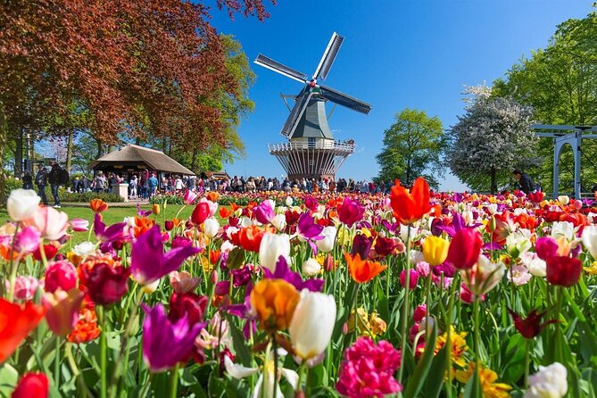Amsterdam: Keukenhof Entry & Shuttle Bus with Flexible Return - The coach ride through the bulb-growing region