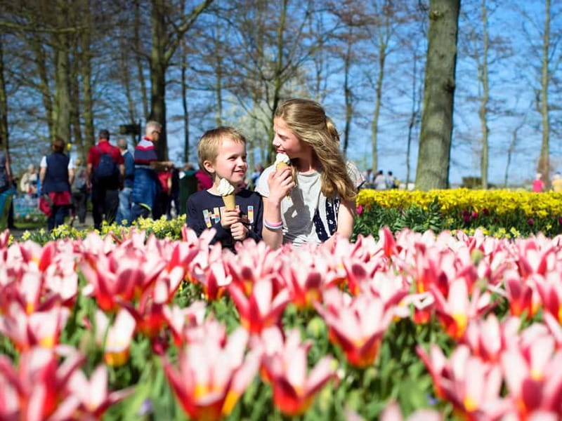 Amsterdam: Keukenhof Entry & Shuttlebus with Flexible Return - How long should you stay in the gardens?