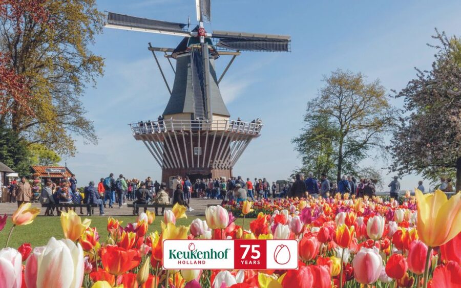 Amsterdam: Keukenhof Entry & Shuttlebus with Flexible Return - Picking the right week for flowers