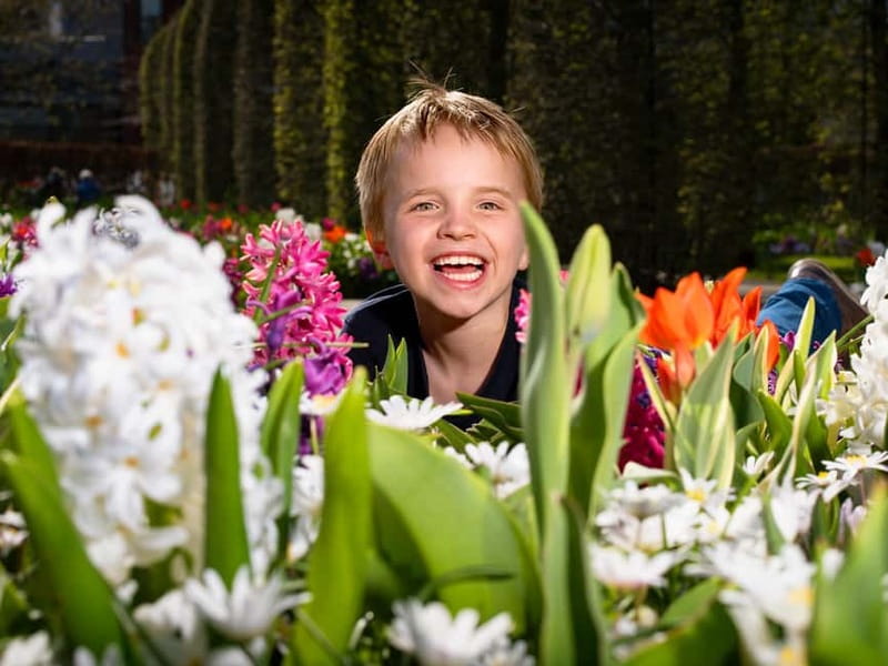Amsterdam: Keukenhof Entry & Shuttlebus with Flexible Return - What can go wrong, and how to avoid it