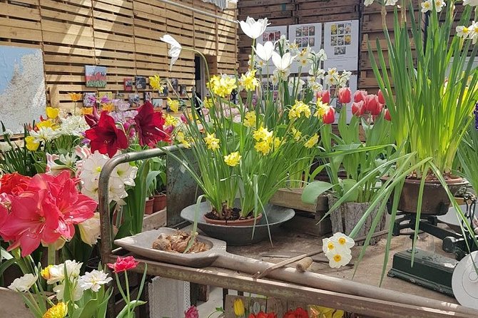 Amsterdam : Keukenhof FlowerFarm Privatetour Skip-The-Line ticket - Noordwijk adds sea air and a flexible finish