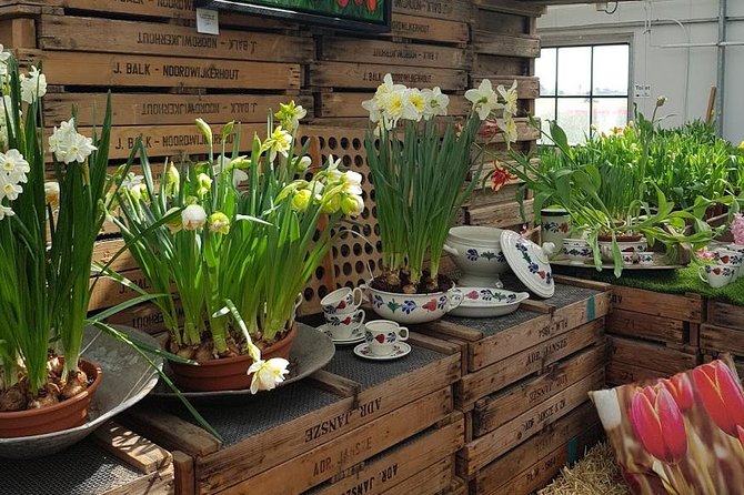 Amsterdam : Keukenhof FlowerFarm Privatetour Skip-The-Line ticket - What the guides add