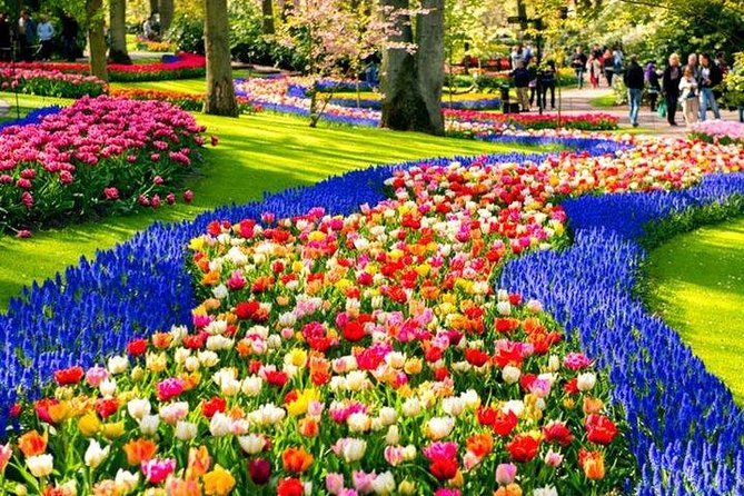 Amsterdam : Keukenhof FlowerFarm Privatetour Skip-The-Line ticket - Practical value at $463.74 per person