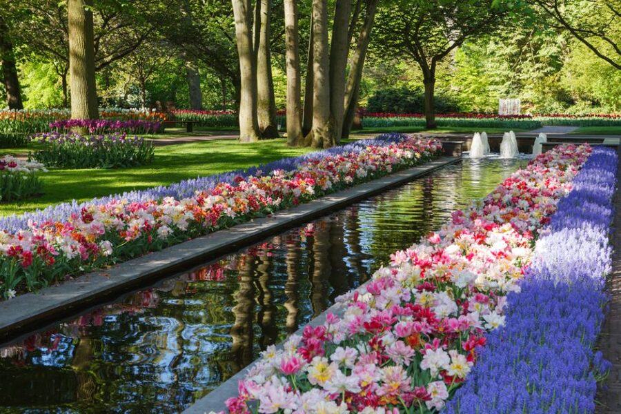 Amsterdam: Keukenhof Gardens Guided Tour Spanish and English - Why Keukenhof is worth the half-day from Amsterdam