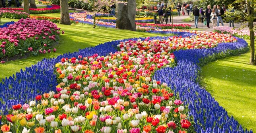Amsterdam: Keukenhof Gardens Guided Tour Spanish and English - What the guide adds, and where the tour can wobble