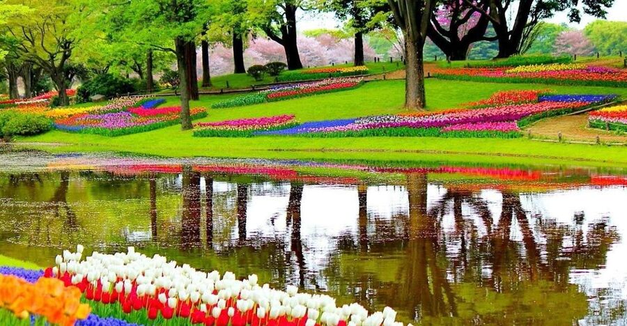 Amsterdam: Keukenhof Gardens Private Sightseeing Tour - What two hours inside the gardens can feel like