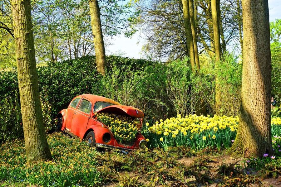 Amsterdam: Keukenhof Gardens Private Sightseeing Tour - Entering Keukenhof with your ticket ready