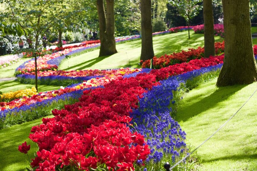Amsterdam: Keukenhof Ticket with Shuttle Bus + Canal Cruise - Returning to Amsterdam without watching the clock