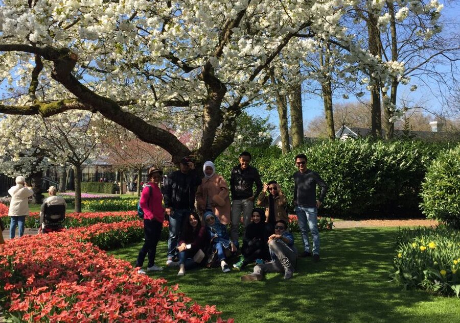 Amsterdam: Keukenhof Tulip Garden and Giethoorn Experience - Is $175 a fair price?