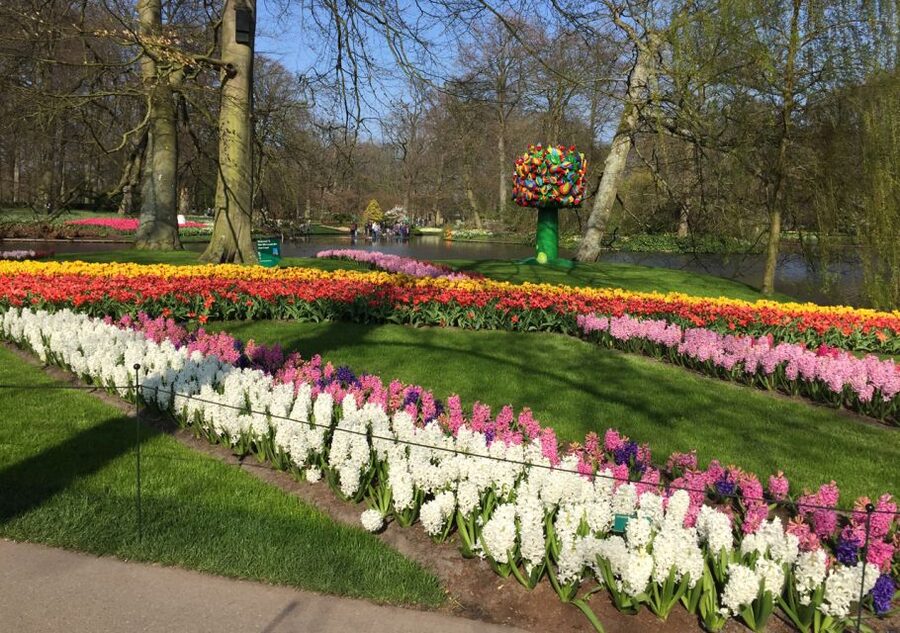 Amsterdam: Keukenhof Tulip Garden and Giethoorn Experience - Starting from Prins Hendrikkade at 8:30 AM