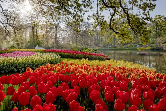 Amsterdam: Keukenhof, Zaanse Schans & Volendam Tour - Cheese and stroopwafels in Volendam