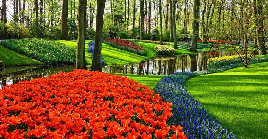Amsterdam: Keukenhof & Zaanse Schans Windmills Private Tour - Volendam deserves a clarification
