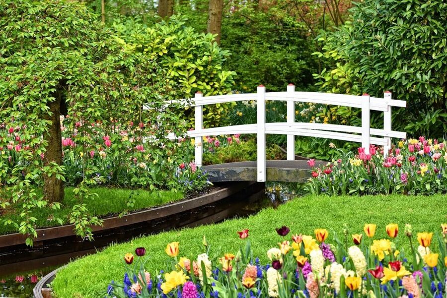 Amsterdam: Keukenhof & Zaanse Schans Windmills Private Tour - Who should book this experience