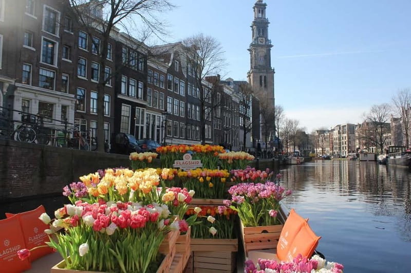 Amsterdam: Premium Tulip Boat Canal Tour - Key points to know before boarding