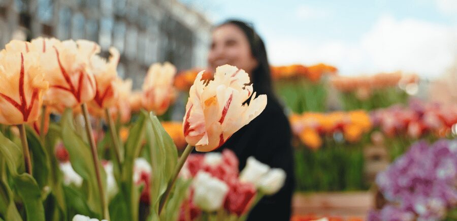Amsterdam: Premium Tulip Boat Canal Tour - The guide can make or break a short cruise