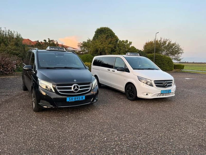Amsterdam: Private Keukenhof and Free Tulip Tour - Key points to know before booking
