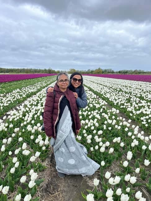 Amsterdam: Private Keukenhof and Free Tulip Tour - Should you book this private tulip tour?