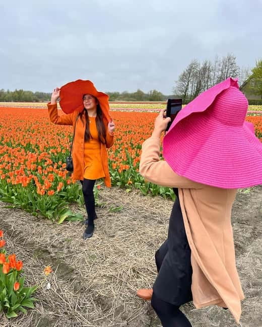 Amsterdam: Private Keukenhof and Free Tulip Tour - Four hours inside Keukenhof